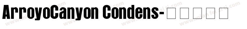 ArroyoCanyon Condens字体转换